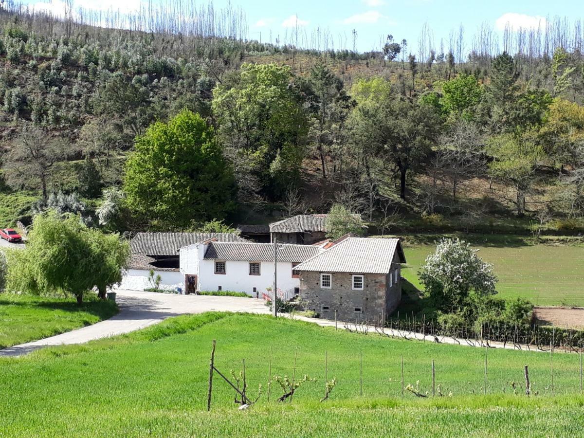 A Charming , Traditional Cottage At Quinta Da Ribeira Vila Nova de Poiares Kültér fotó